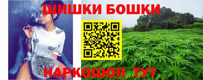 мдпв Брянск